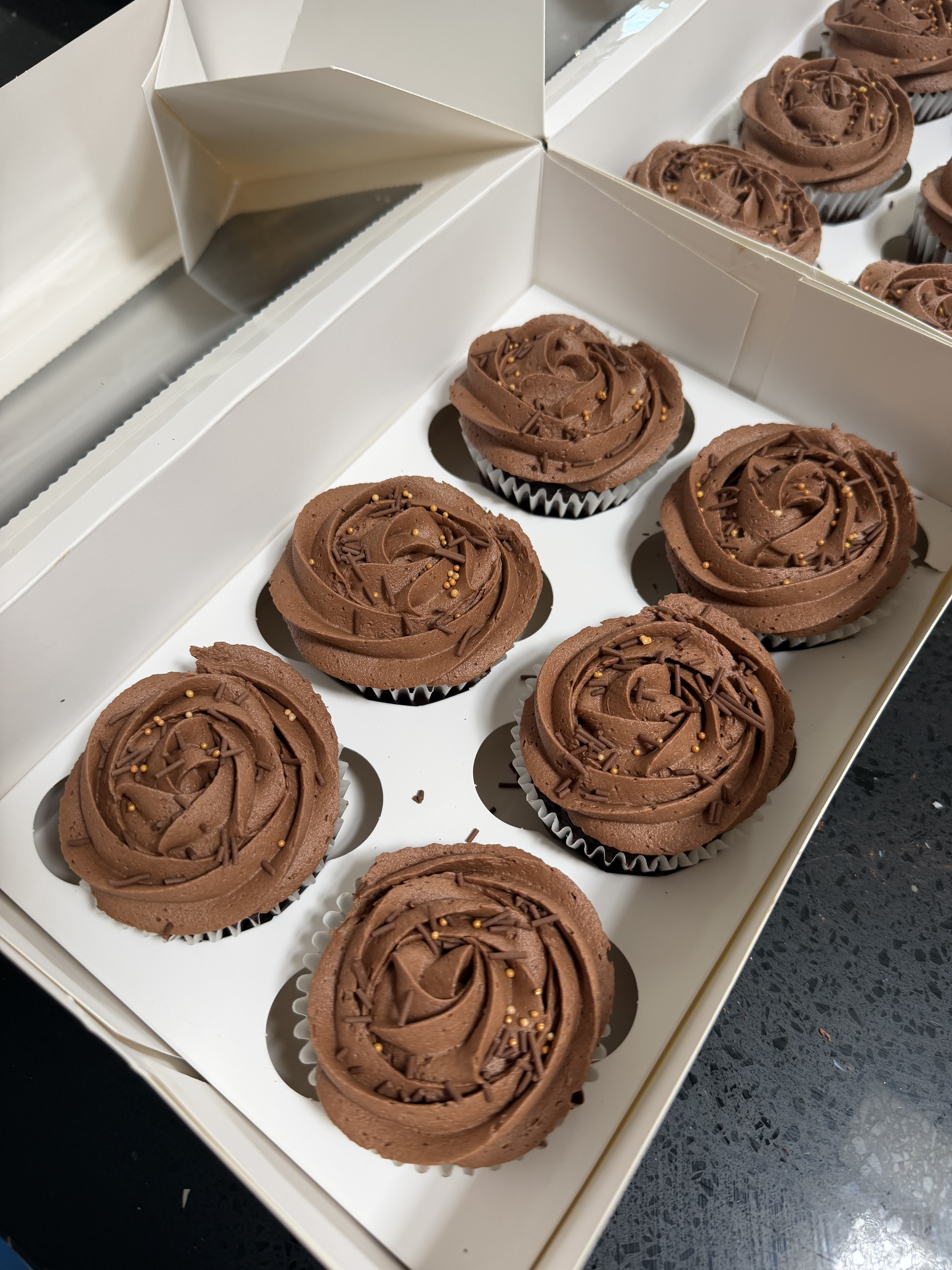 Chocolate Cupcakes